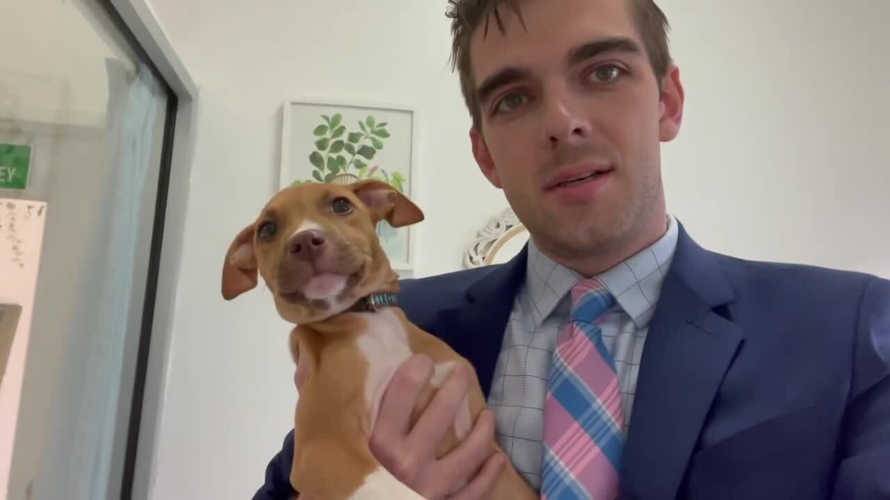 Poster image - 2024-10-01T131911.492.jpg