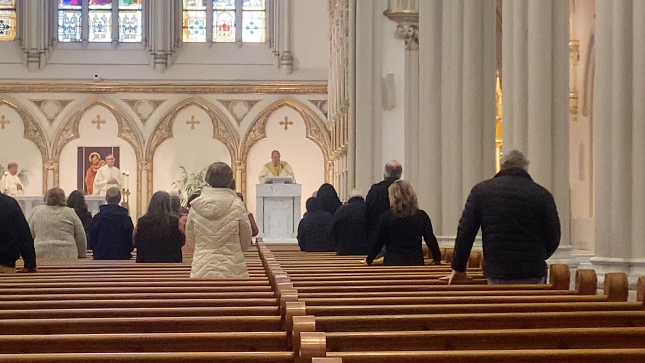 MASS1.jpg