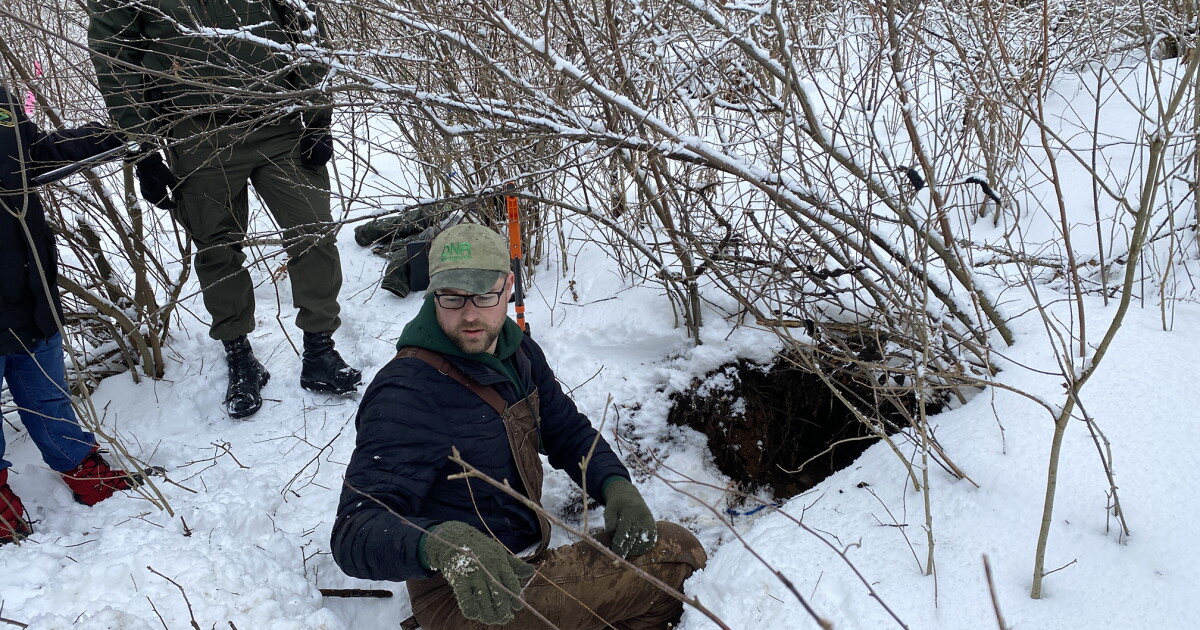 DNR: Keep an eye out for bear dens this winter & report them to us - Vimarsana News
