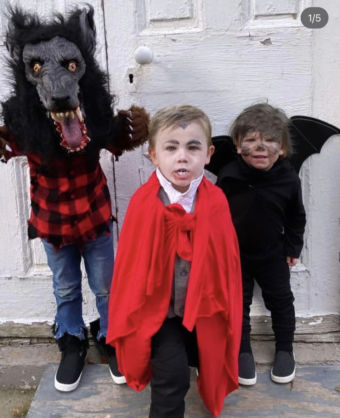 Doerman boys