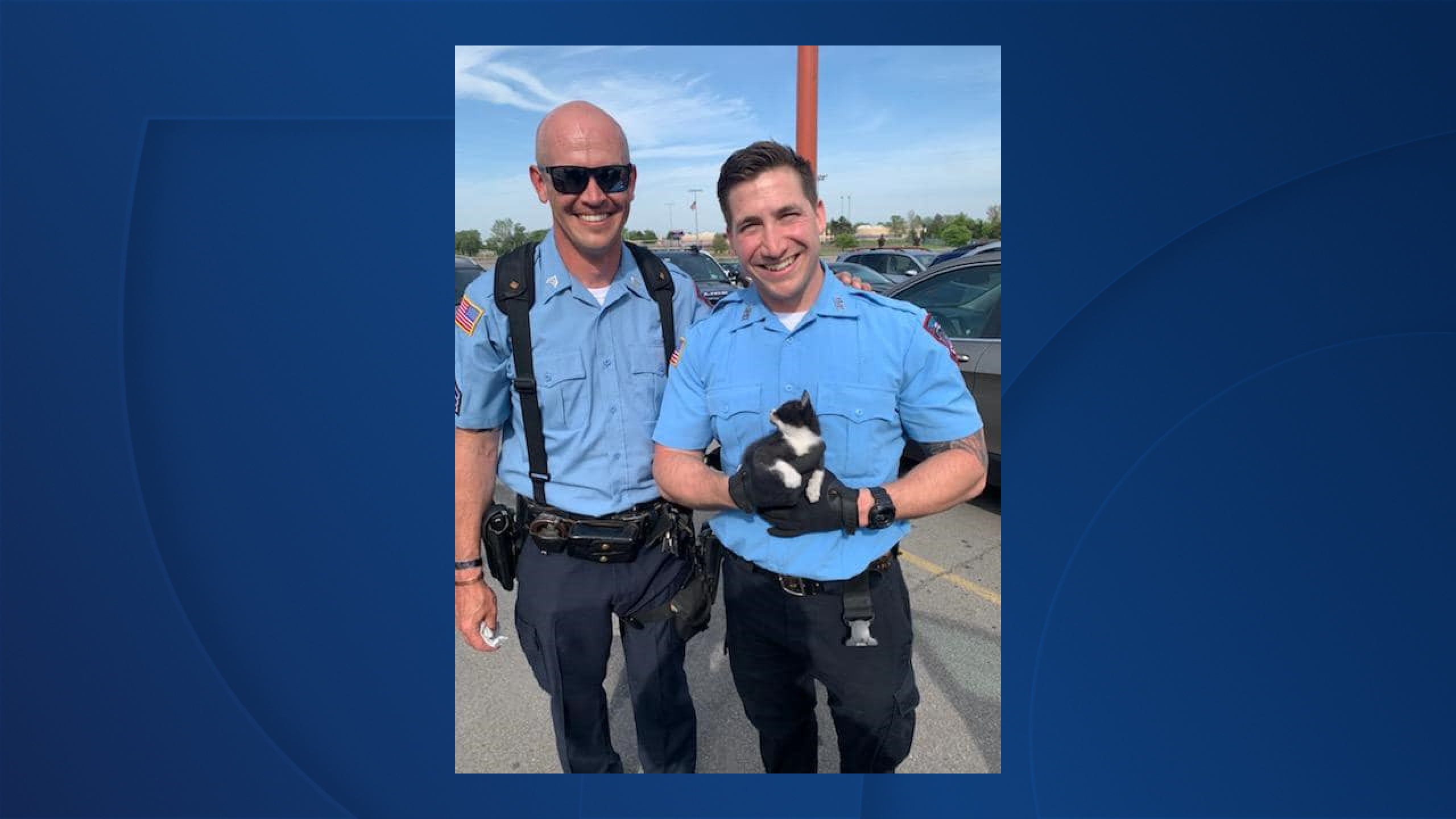 Kitten stuck underneath car rescued by Cheektowaga police after going