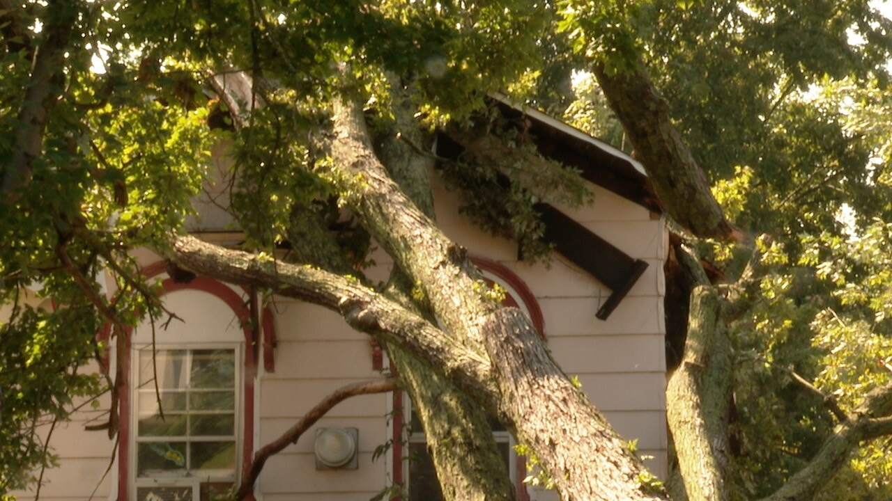 HOUSE.jpg