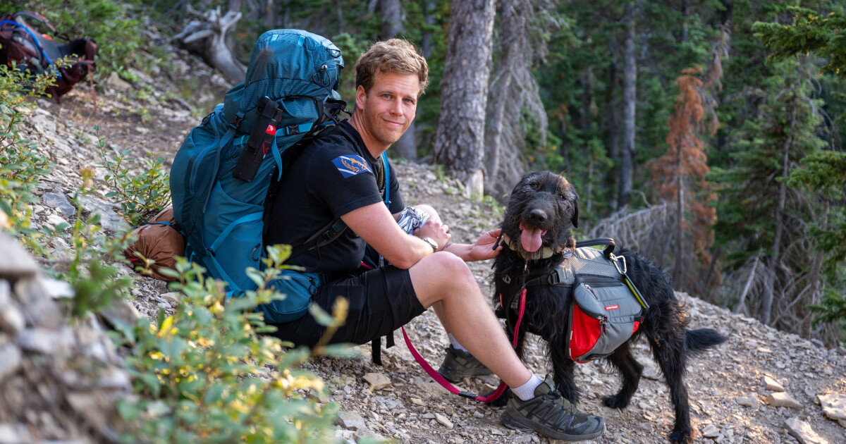 Dog Hiking Safety – what to know before hitting the trail