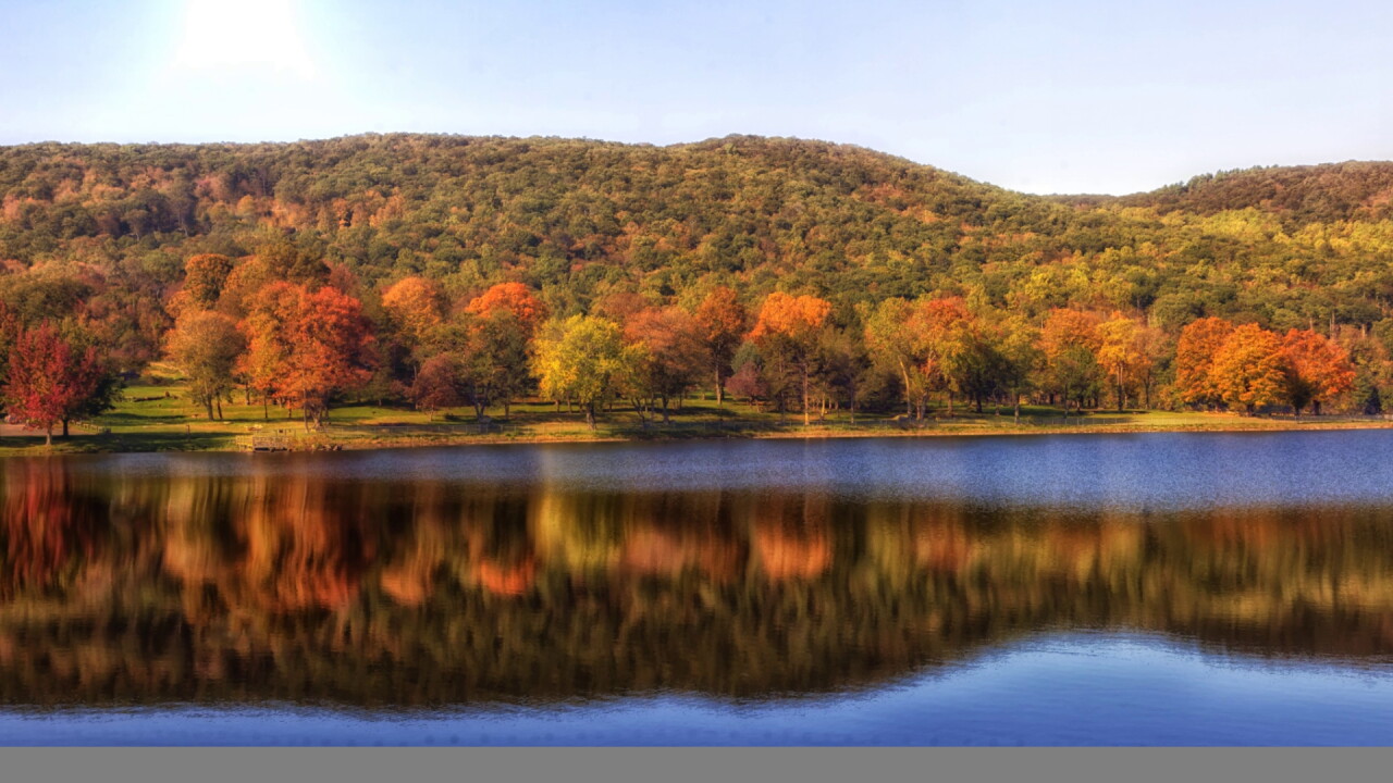 SUNNY FALL 