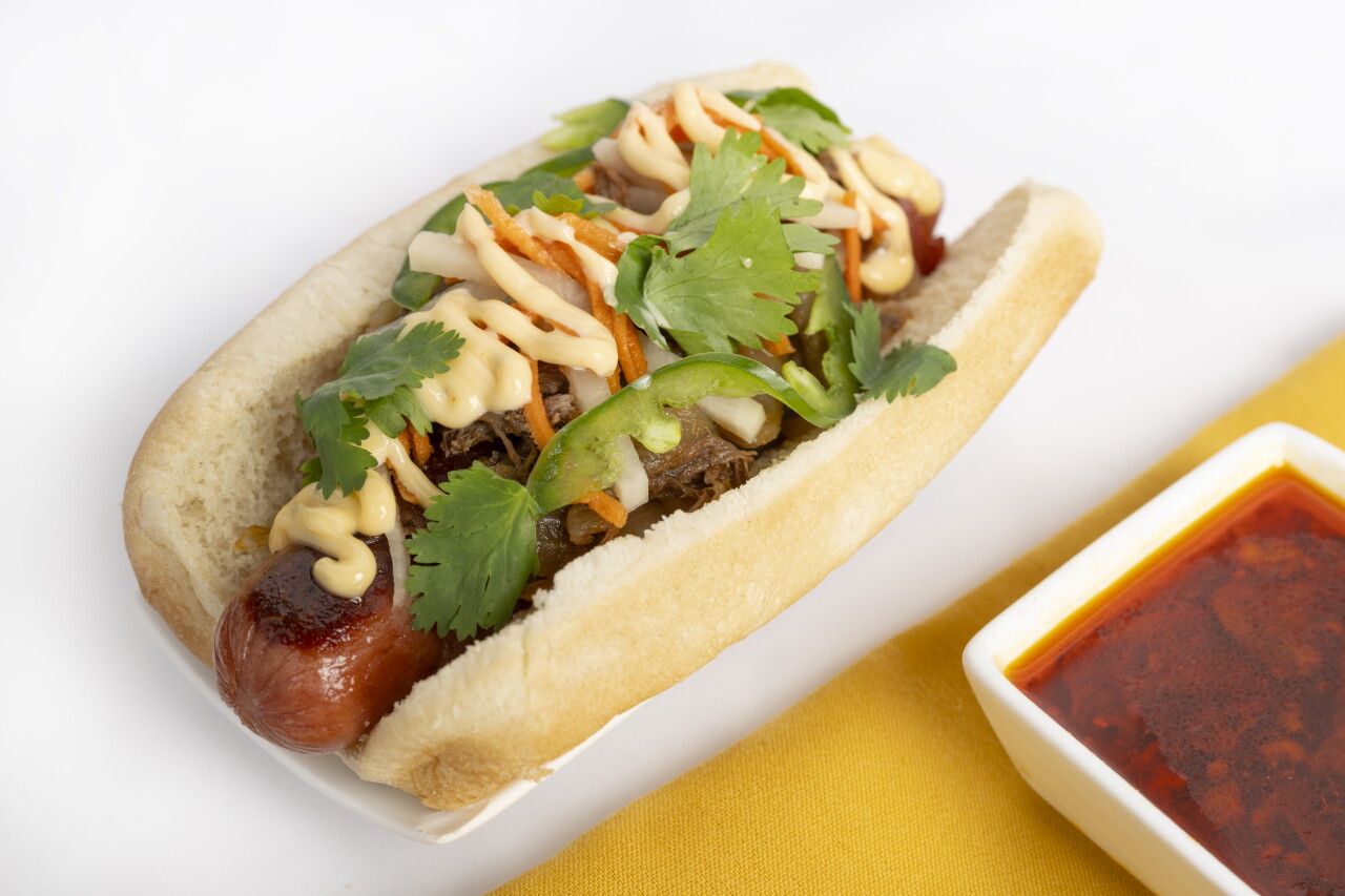 Birria Banh Mi Dog_DS.jpg