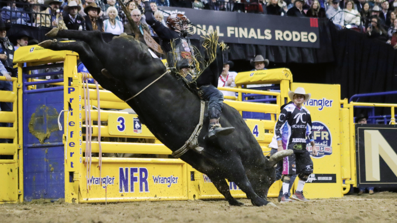 Breding 92.5 NFR Round 8.png