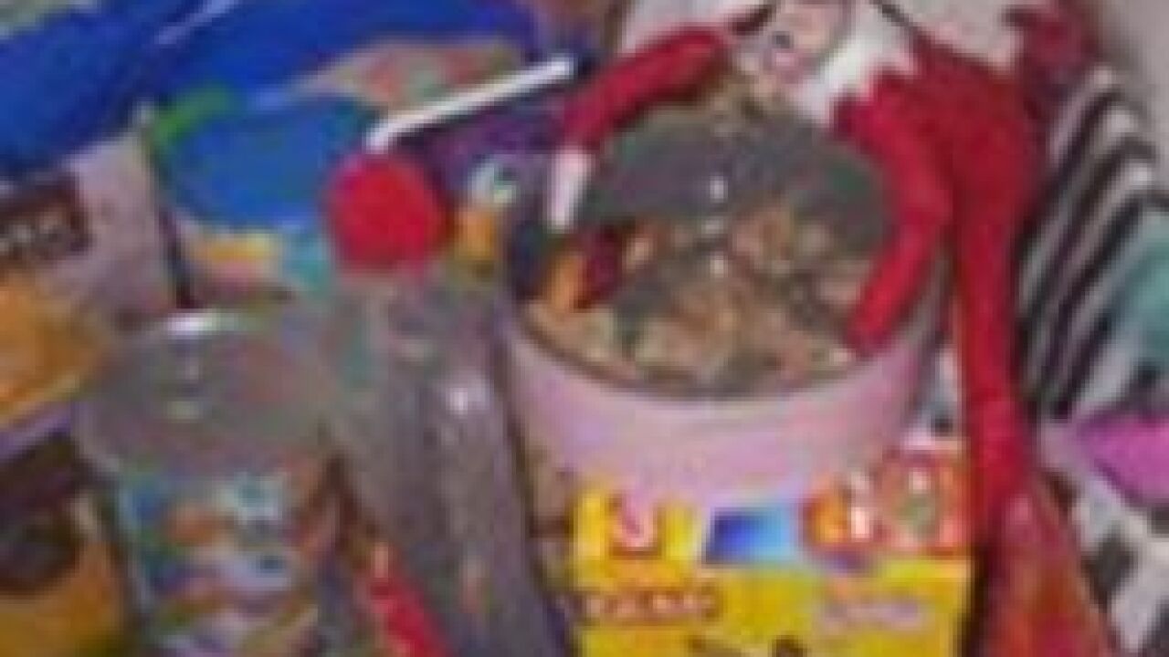 2016 Elf on the Shelf Photos & Ideas