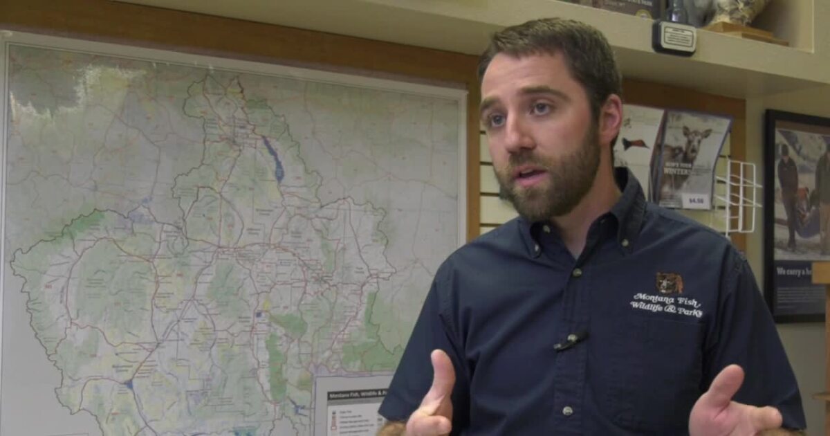 This Week in Fish and Wildlife: It's license renewal season in Montana This Week in Fish and Wildlife: It's license renewal season in Montana