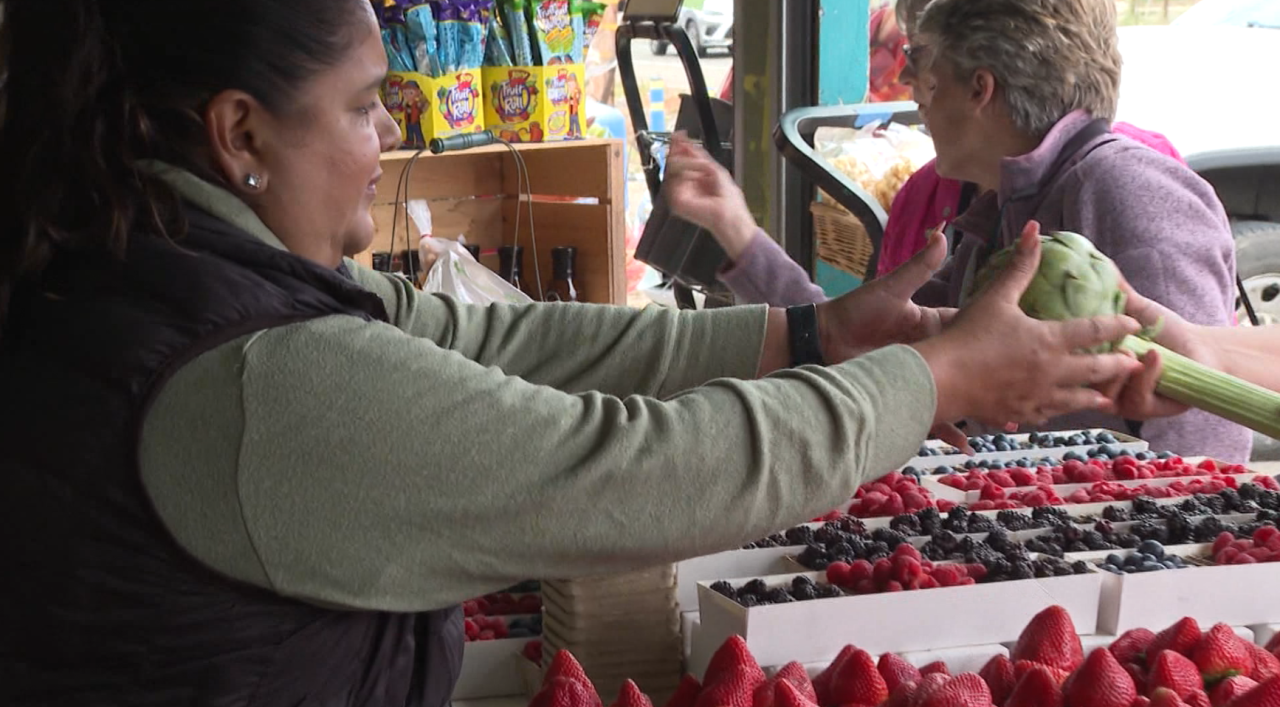 HAYASHI FAMILY FARMS CHAVEZ.png