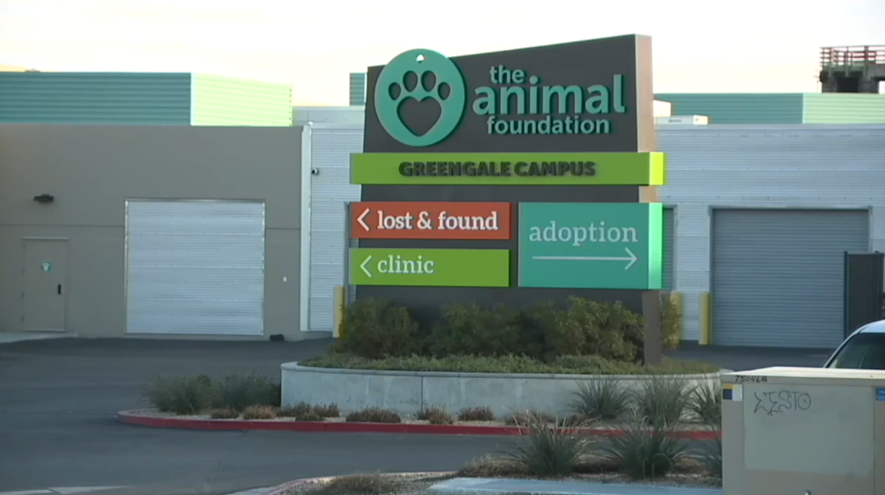 The Animal Foundation