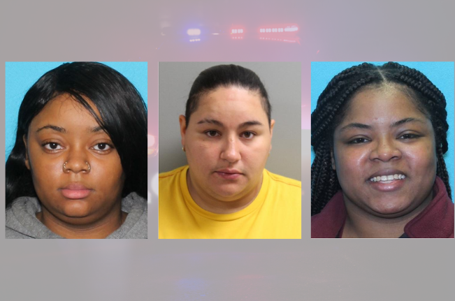 Busch Gardens fight.png