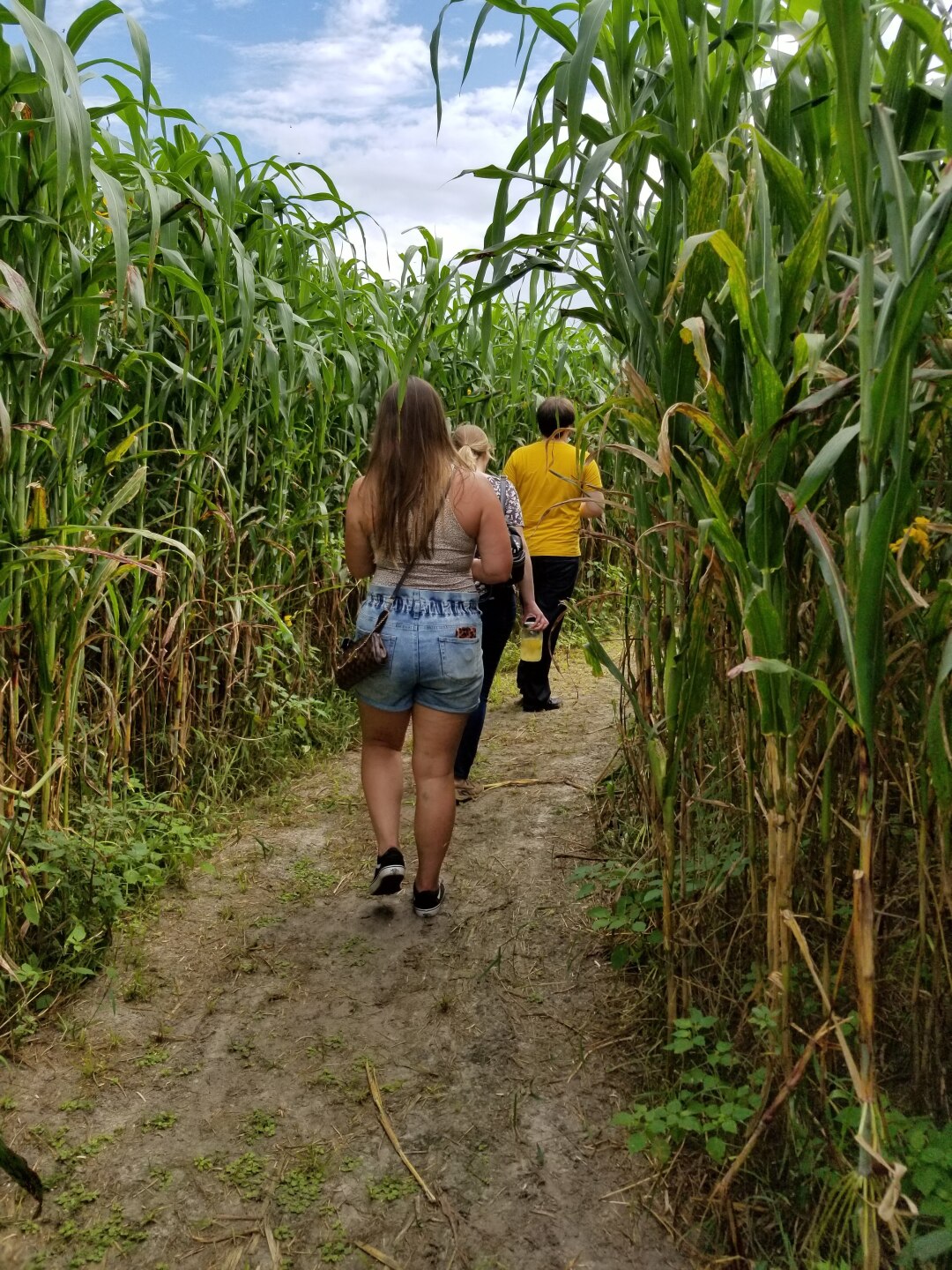 walking in corn maze.jpg