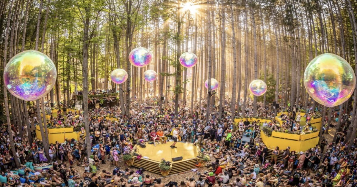 Electric Forest 2024 lineup includes Ludacris, Umphrey's McGee and many more - Vimarsana News
