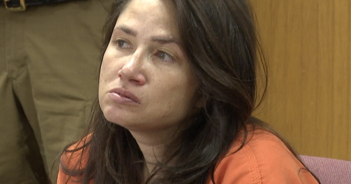 Whitehall woman pleads 'guilty but mentally ill' in death of her son
