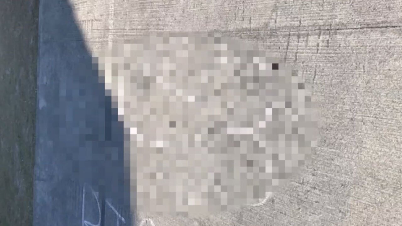 Inappropriate drawings on school playground at Jensen Beach Elementary School in March 2021