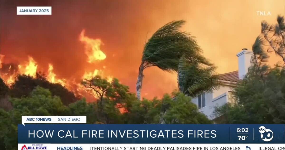 Cal Fire talks how fires are investigated following Palisades fire arrest