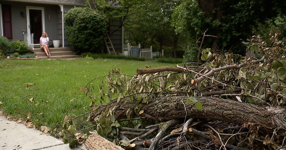 Prairie Village estimates the recent storm caused more than $500K in damages - Vimarsana News