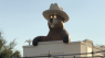 ROUTE 66 STATUE! There's a gopher in Gilbert - ABC15 Digital