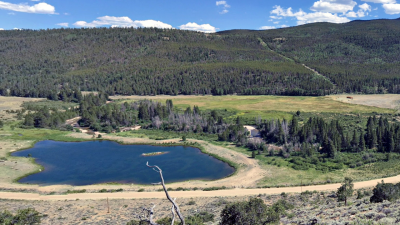 forestfire.png