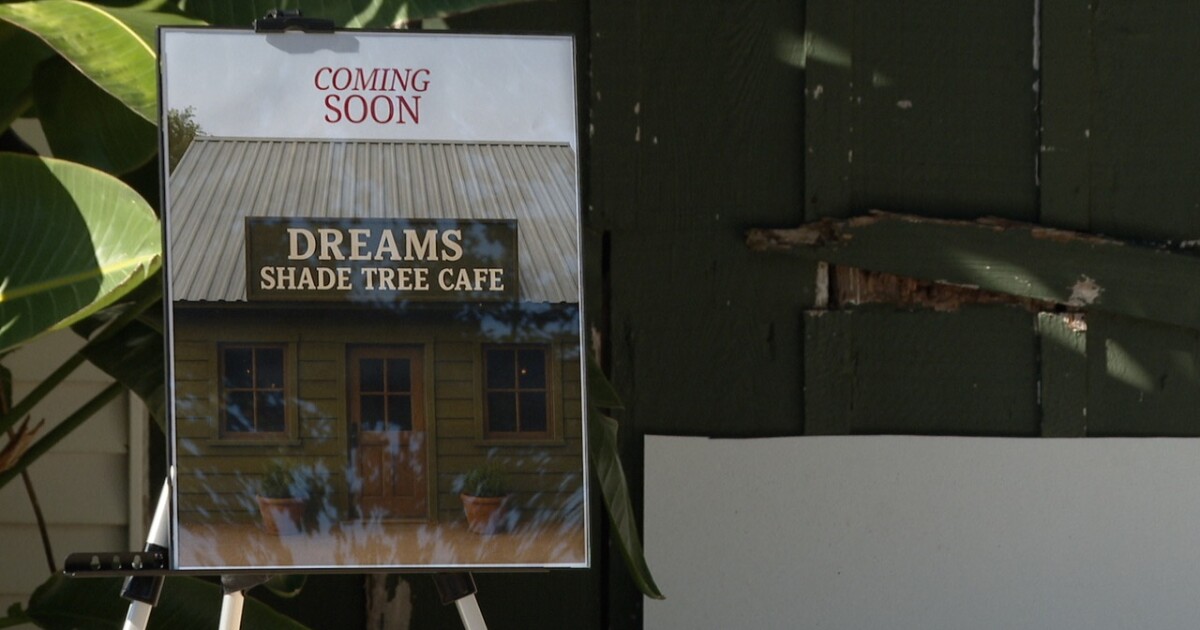 D.R.E.A.M.S. Foundation plans café in Broussard to expand job opportunities for individuals with special needs