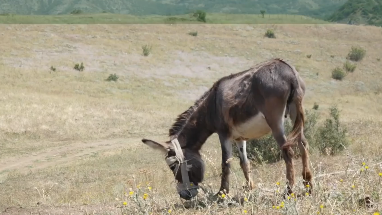 Screen Shot 2021-05-06 at 3.44.08 PM.png