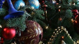 A Joyful Christmas," a Holiday Experience!