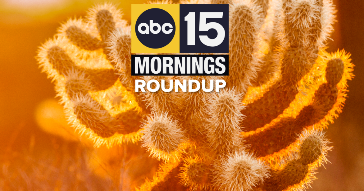 Coverage image for: AM Roundup: Pilot dead after Chandler crash, Surprise veteran honored, police release 'Gilbert Goons' videos