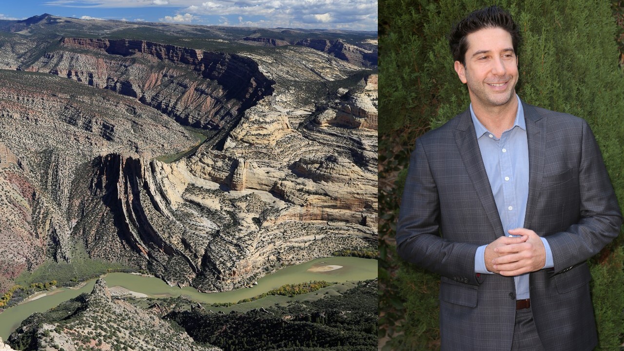 Dinosaur NP vs. Schwimmer.jpg