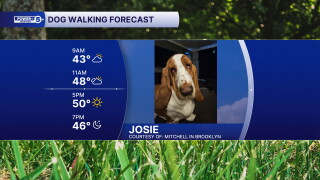 JOSIE