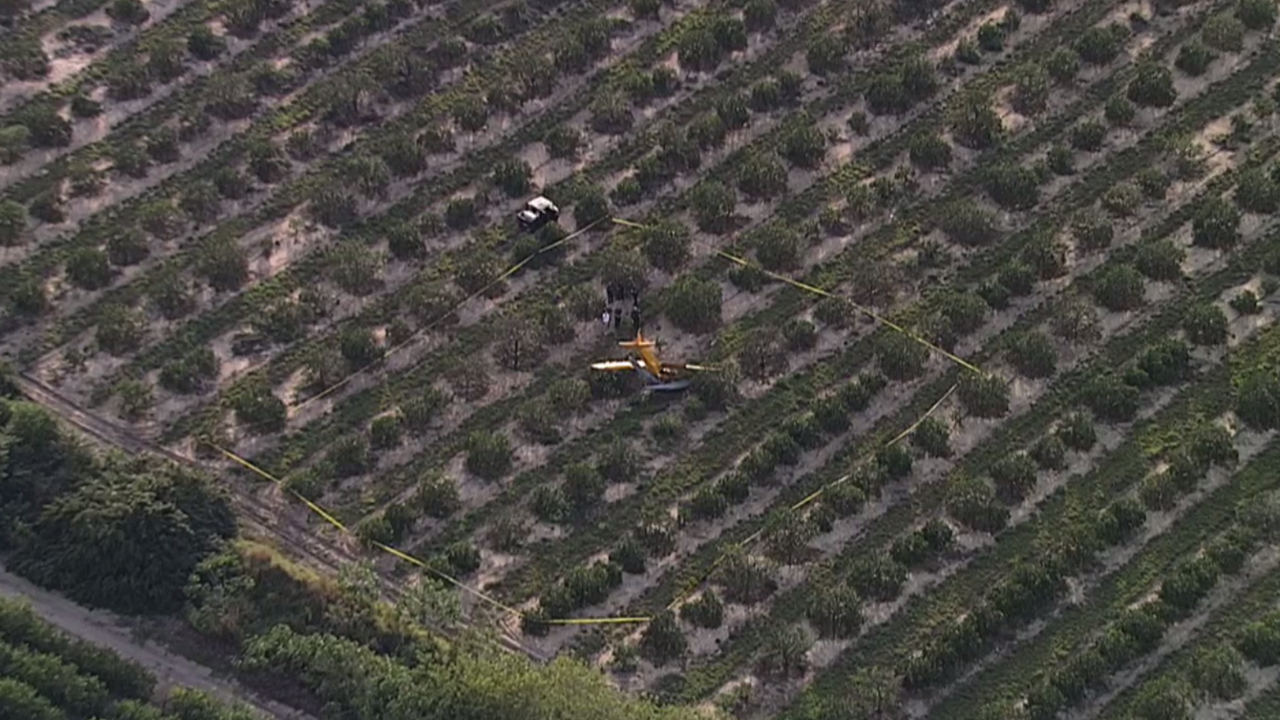 Winter Haven plane crash WFTS2.png