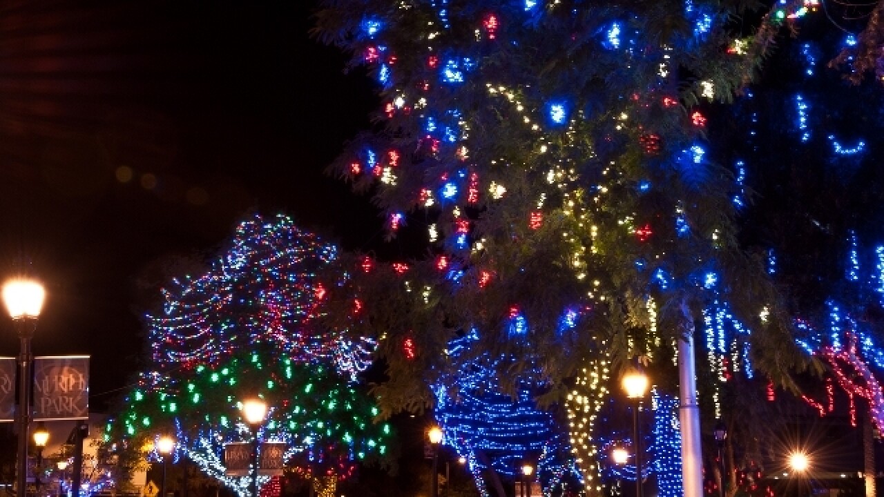 Zoolights At The Phoenix Zoo Youtube