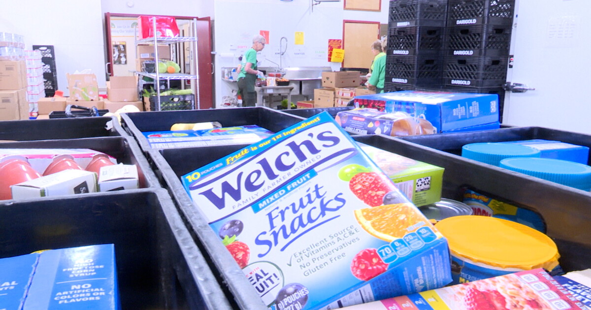 900 pounds of food donated during Food for Fines event - Vimarsana News