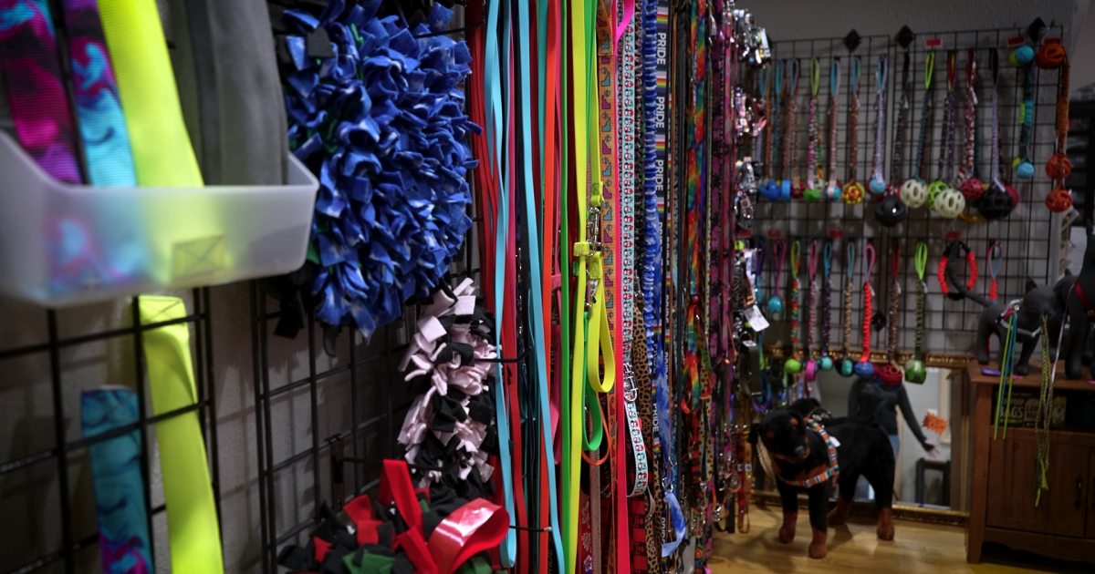 Montana Made: Critter Harmony