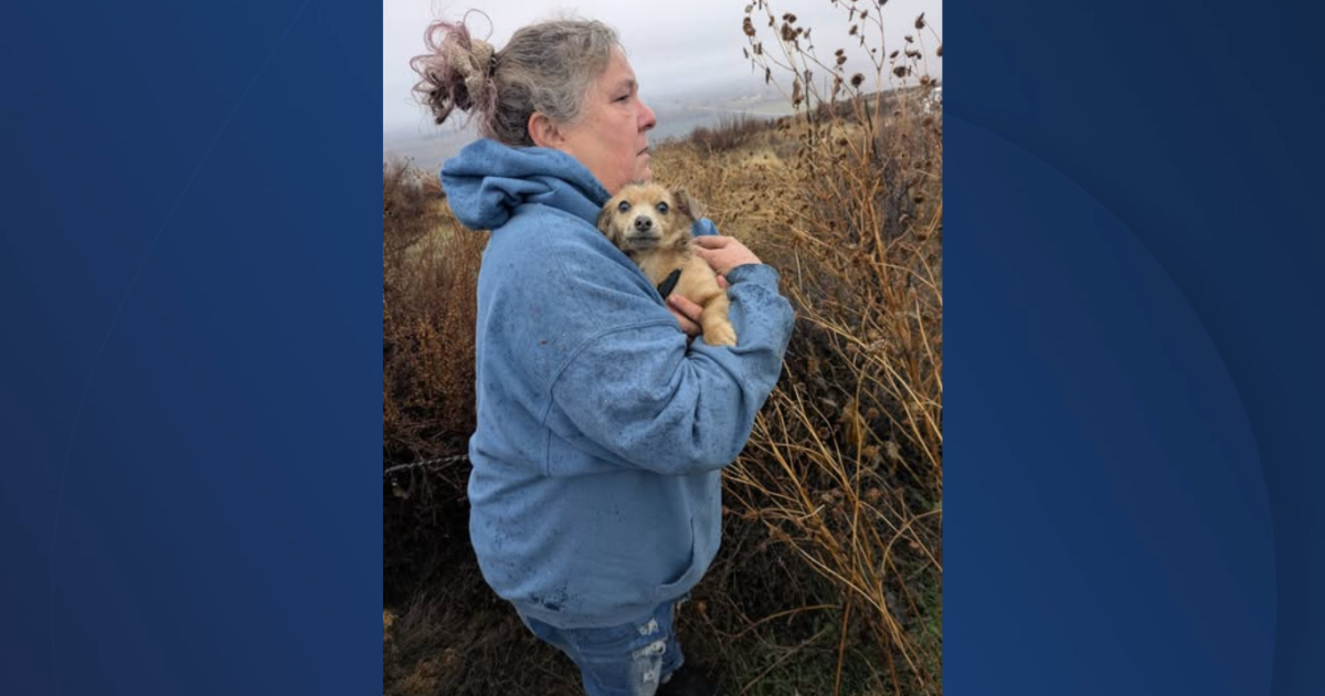 Idaho Humane Society puts up $1,500 reward for info on dead puppies in Malheur County