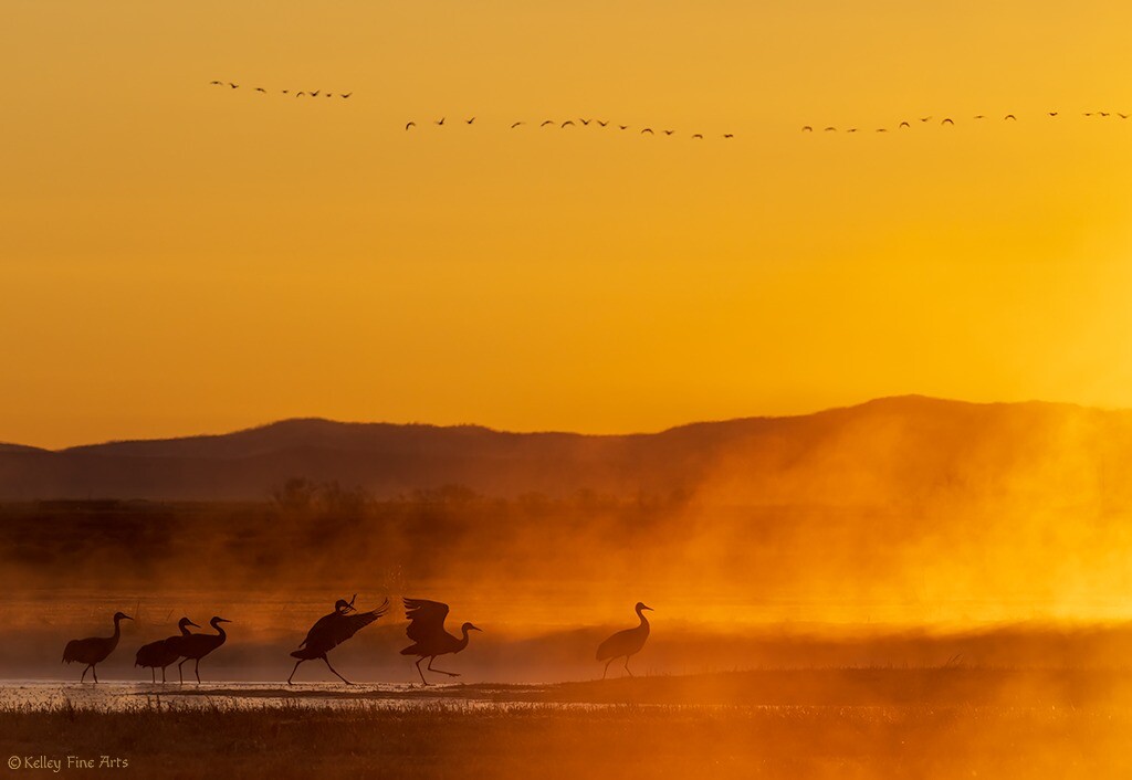 Kelley Fine Arts.jpg