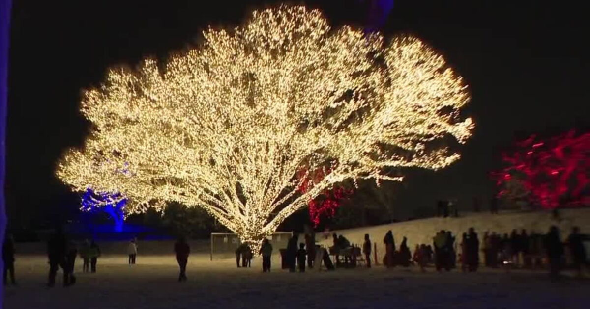 Draper Lighting Draper tree lighting ceremony draws crowd despite snowy conditions