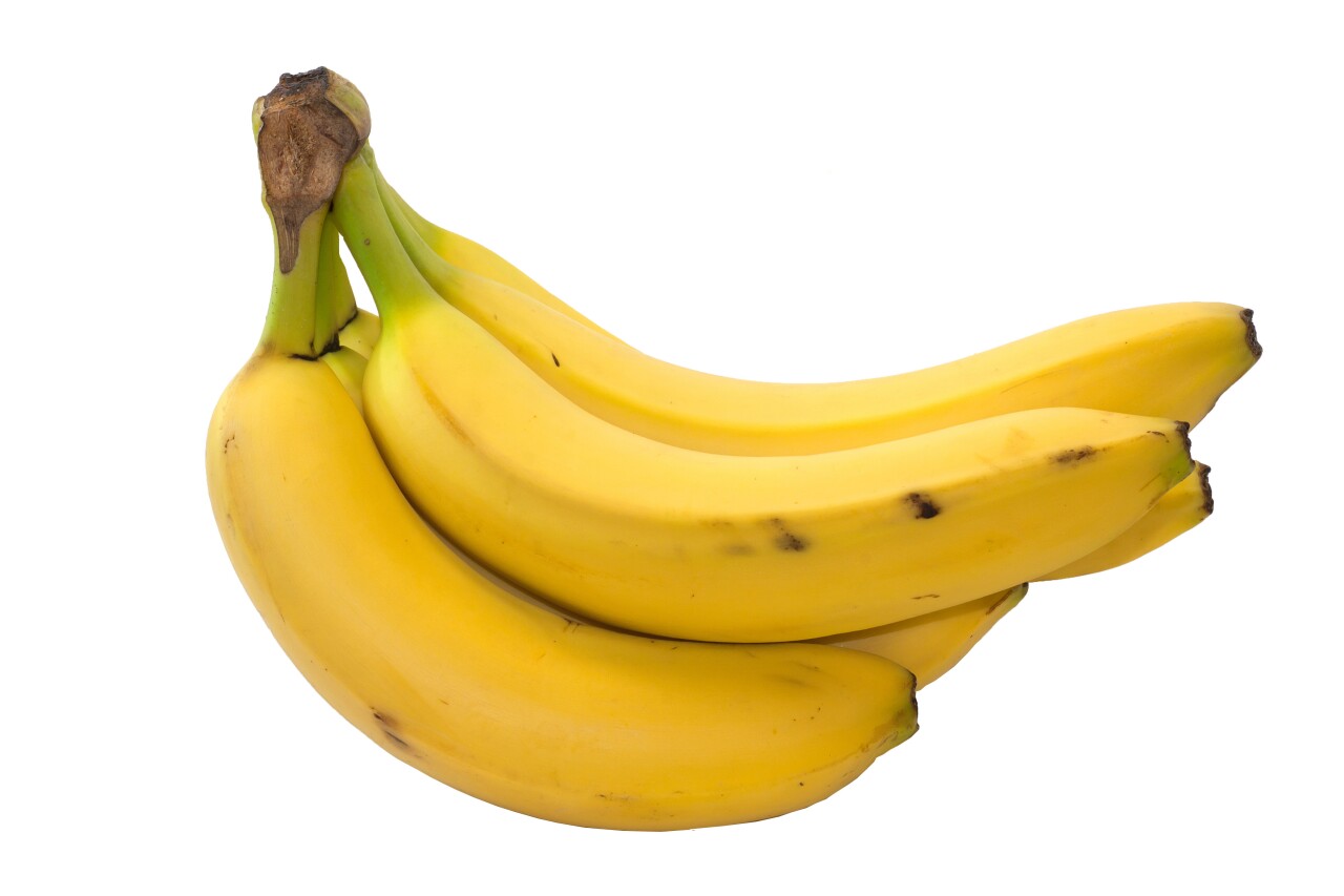 bananas-SBI-300269017.jpg