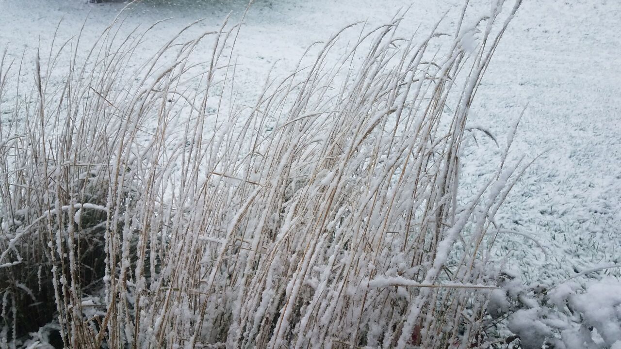 Snow