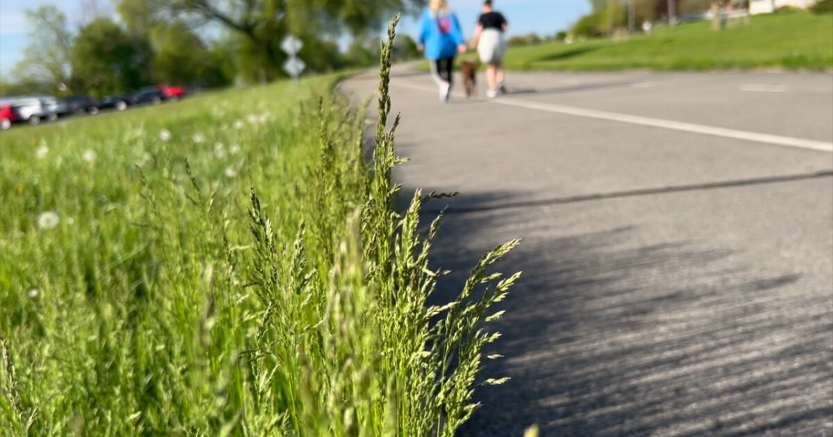 Organizers calling for action against New York State Parks "no mow" policy - Vimarsana News