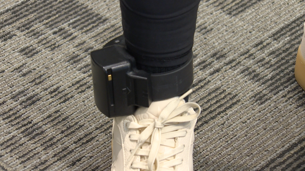 ankle.png