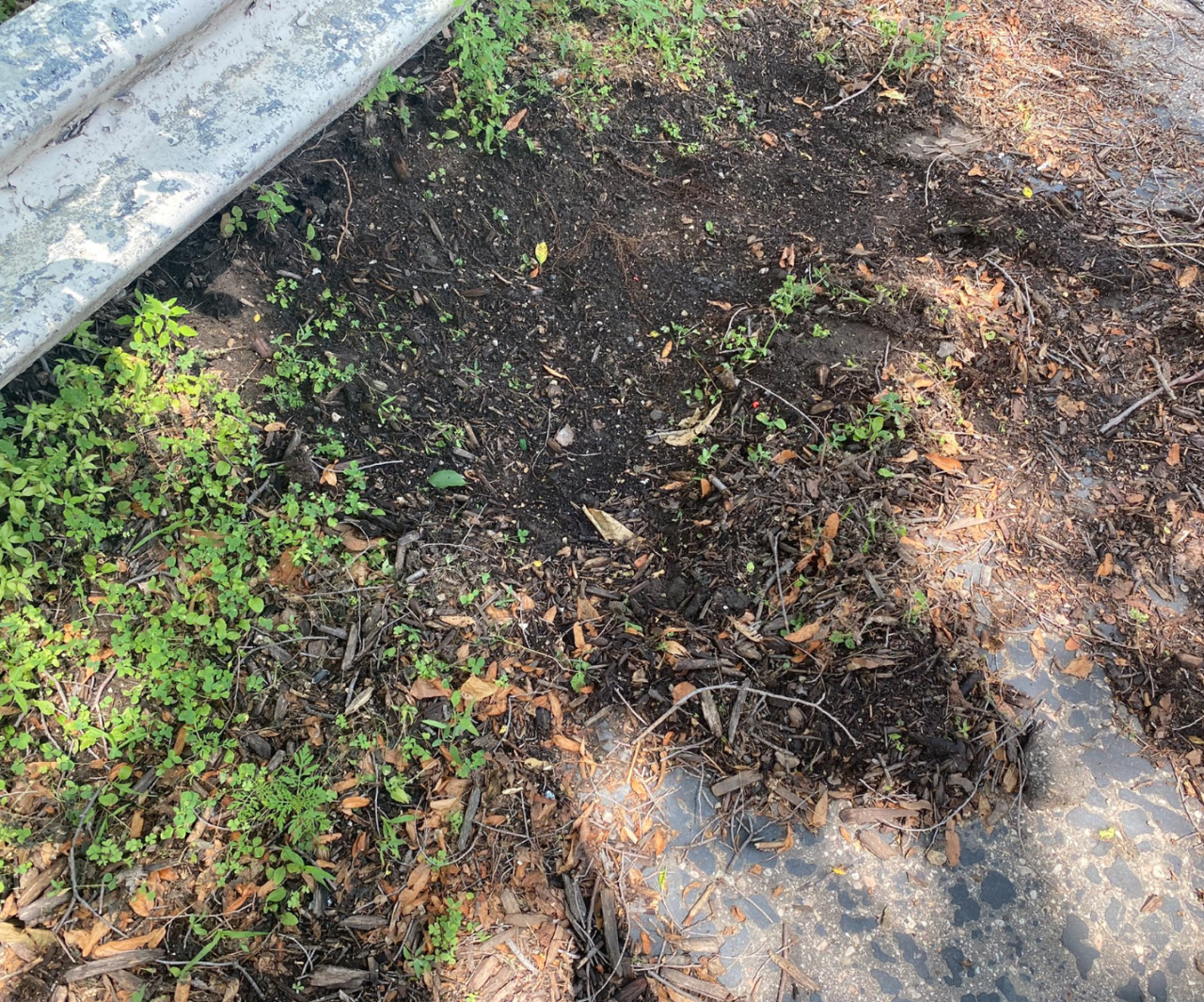 Where phone was recovered.png