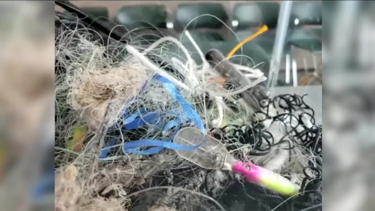 Poster image - 2022-01-19T174603.189.jpg