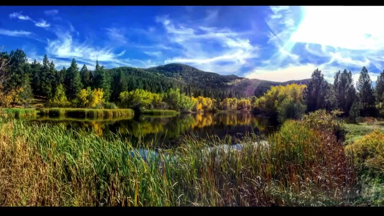Fall Leaves