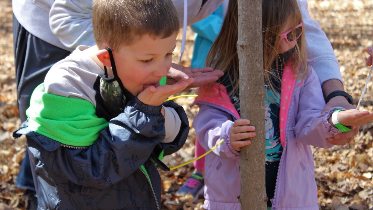 Maybury Farm Maple Syrup Tours