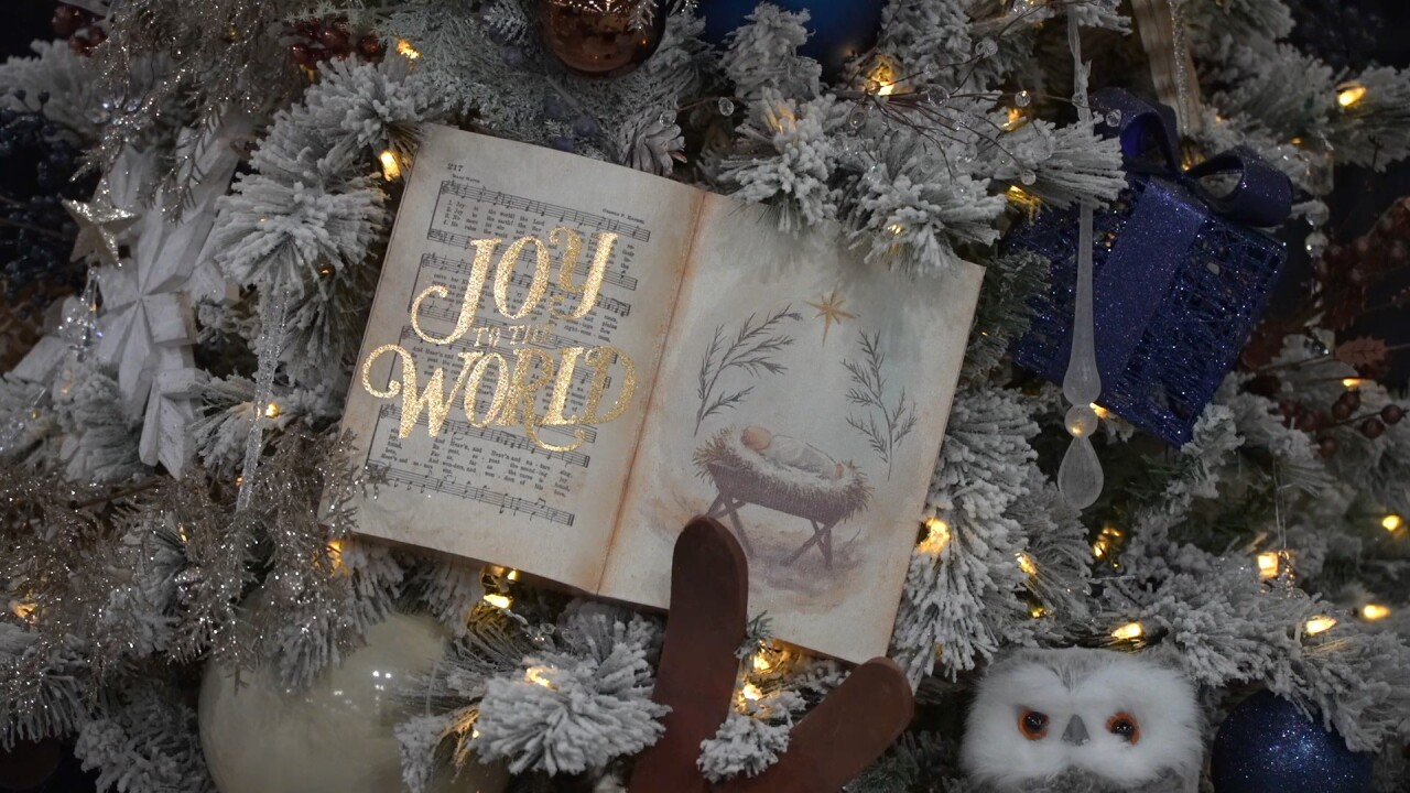 CANYON COUNTY FESTIVAL TREES