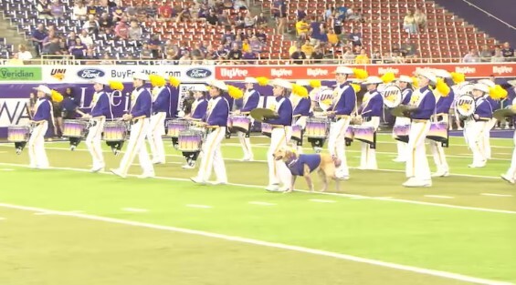 band2.jpg
