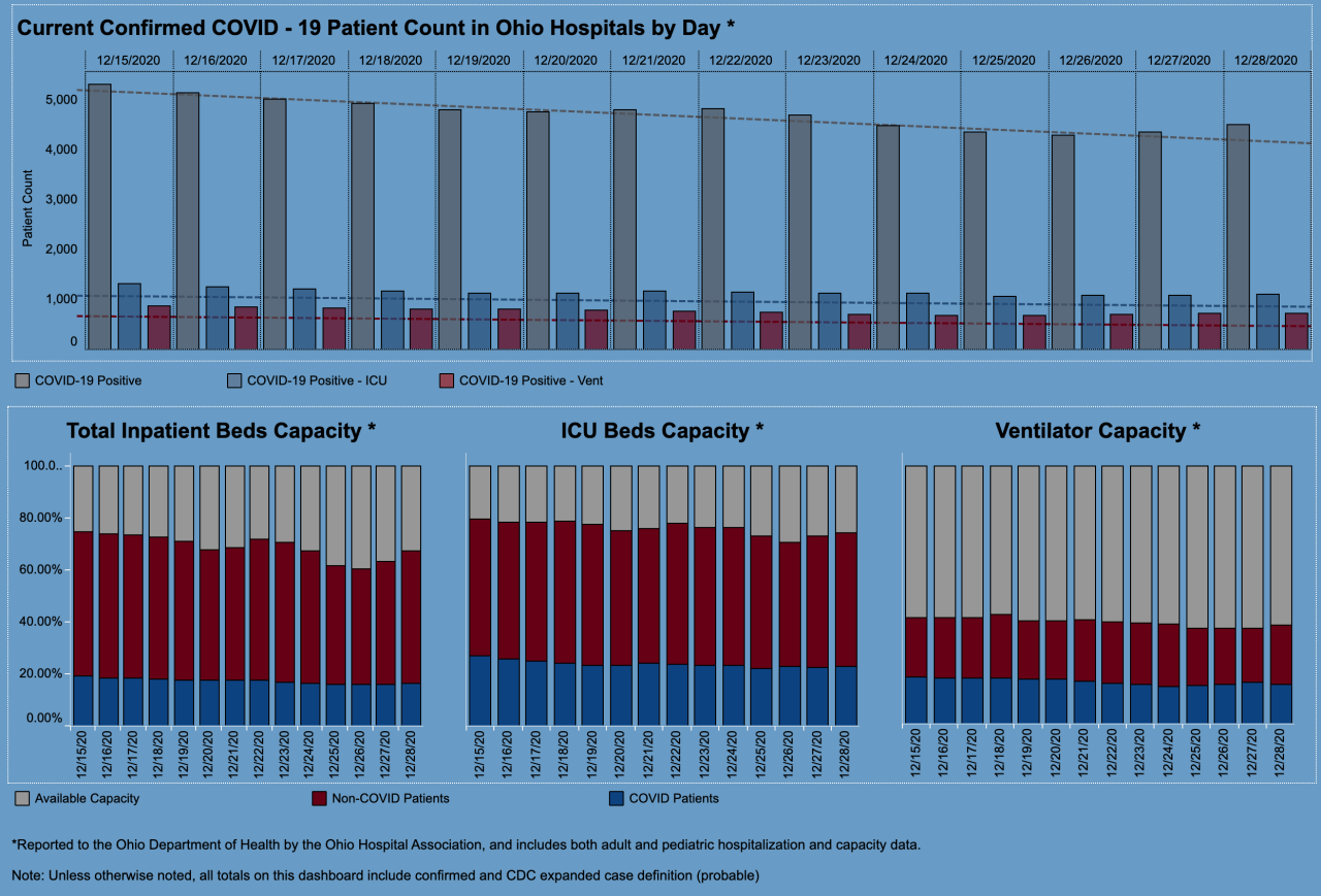 Hospital metrics dec 28