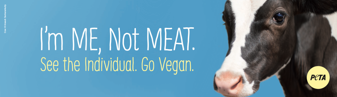 PETA leaders say they plan to display this message near the crash site of Wednesday's semi roll-over incident.