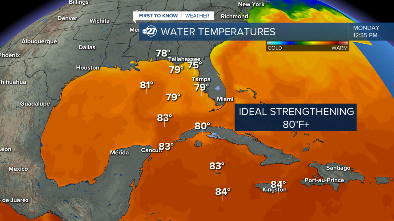 Sea Surface Temperatures 11042024.png