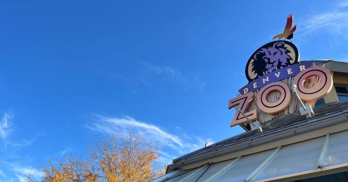 Denver Zoo sues over $19 million sea lion habitat construction, alleging ‘errors, omissions, and deficiencies’